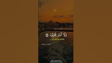 يا عباد لا خوف عليكم اليوم ولا أنتم تحزنون 💞😍 #quran #احمد العجمي #تلاوة #تلاوة خاشعة #تلاوة مؤثرة