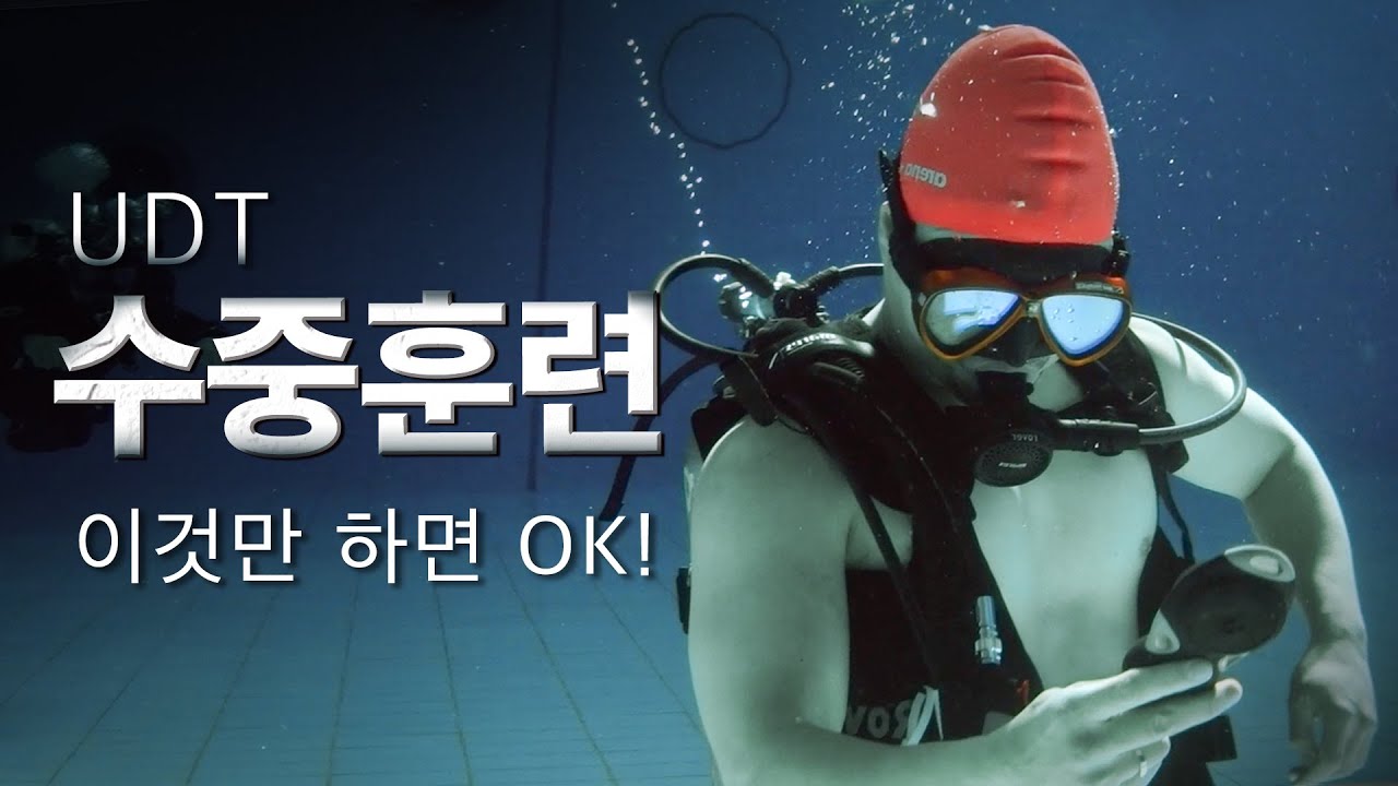 [UDT 수중훈련] 유디티 요원 되는법, 실제로 받는 훈련 한방에 정리! (feat. 세뇌주의)/ The way to be the agent