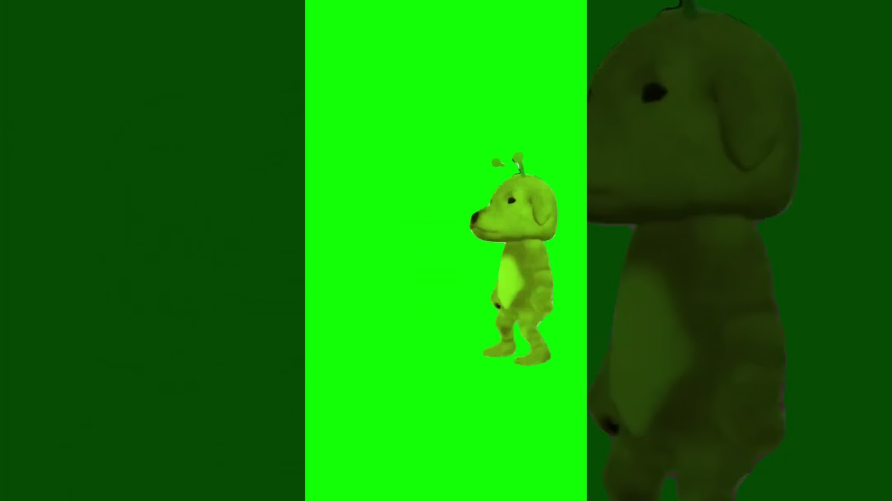 Oof Dog Dancing Green Screen