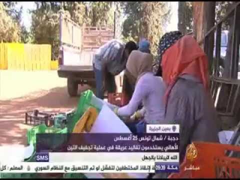 بعين الجزيرة
