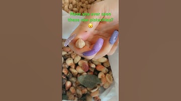 Have you ever seen raw pistachios? They are so beautiful! #cooking #recipe #pistachio #food