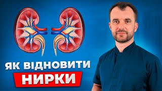 День  2. Чому виникають хвороби нирок та що робити, щоб відновити їх роботу.