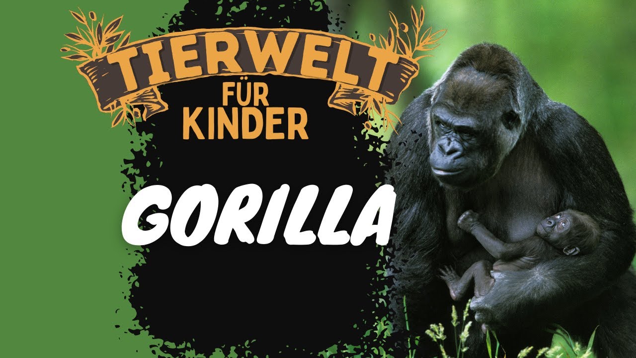 Gorila Unisex-Kinderschuhe, Derby-Stil, Blau, Größe 26 – Robuste Bootsschuhe Für Kinder