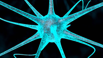 Cinema 4D Project - 3D Nerve Cell