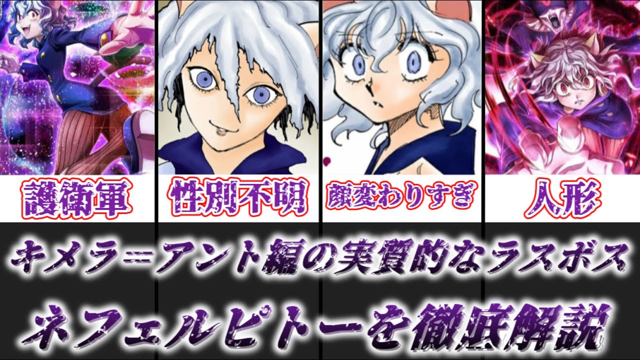 ハンター ハンター ピトー 性別