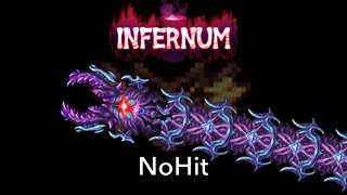 Terraria Calamity Infernum Devourer Of Gods Nohit - Mage