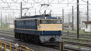 2019/07/14 【旧型客車送込牽引機返却】 EF65-501 尾久駅 | JR East: EF65-501 at Oku