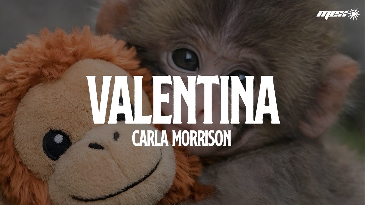 Carla Morrison - Valentina (Letra)