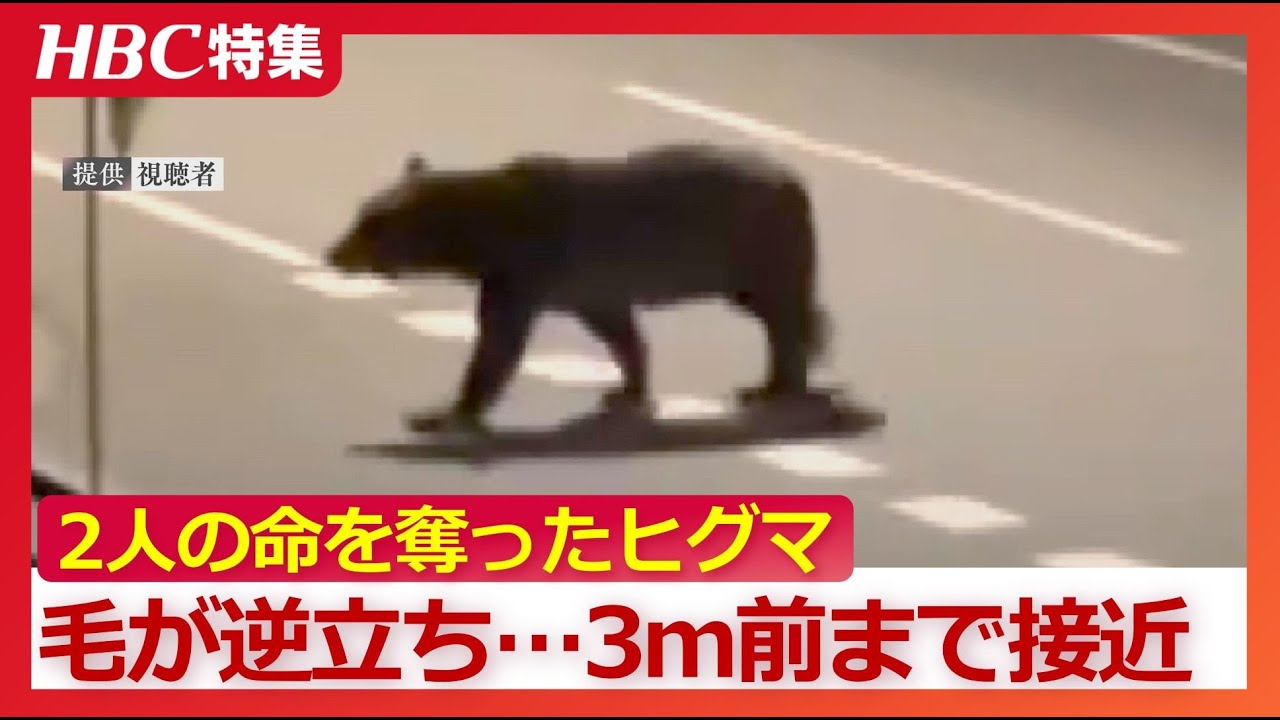 仕留めたハンターが証言「毛が逆立って頭の大きさが倍に…しくじったら俺は」新聞配達員の命を奪ったヒグマと対峙した緊迫の瞬間　警察への通報は北海道で過去最多の5249件