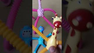 ? Its Time to Play Pop Tube Toy ? Stress Releasing make Some Fun funtime short