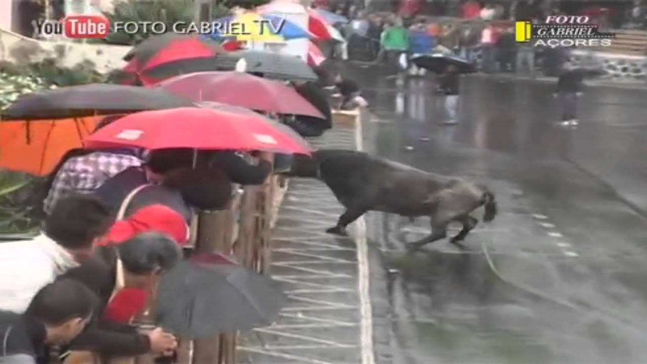 Marradas - Sustos - Ilha Terceira