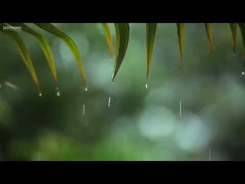 Rahatlatıcı Müzik ve Yağmur Sesleri - Güzel Piyano Müziği, Arka Plan Müziği, Uyku Müziği
