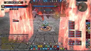 TERA HH 20-Man Raid Phase 4 (Priest Solo Head POV)