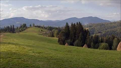 محمد صلاح نافع سورة النساء كامله