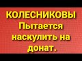 Семья Колесниковых/Новости из Дворца.