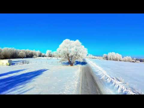 💖Latvia Territory of positivity and life relaxation.Латвия Территория позитива и жизненного релакса.
