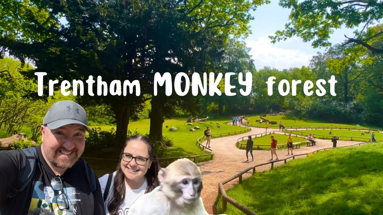 Trentham Monkey Forest Stoke On Trent YouTube Trentham Monkey Forest Stoke On Trent YouTube