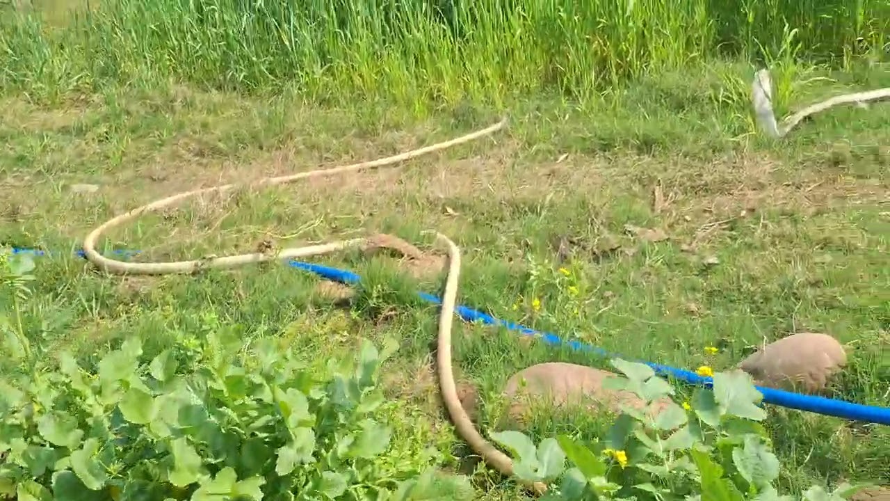 Sab ko har har mahadev aaj dekhiey humne kitna kaam kiy hai or ak sunderbhajan