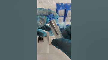 delphi Common rail repair kits 7135-573( nozzle G374 valve 9308-625C 28525582)