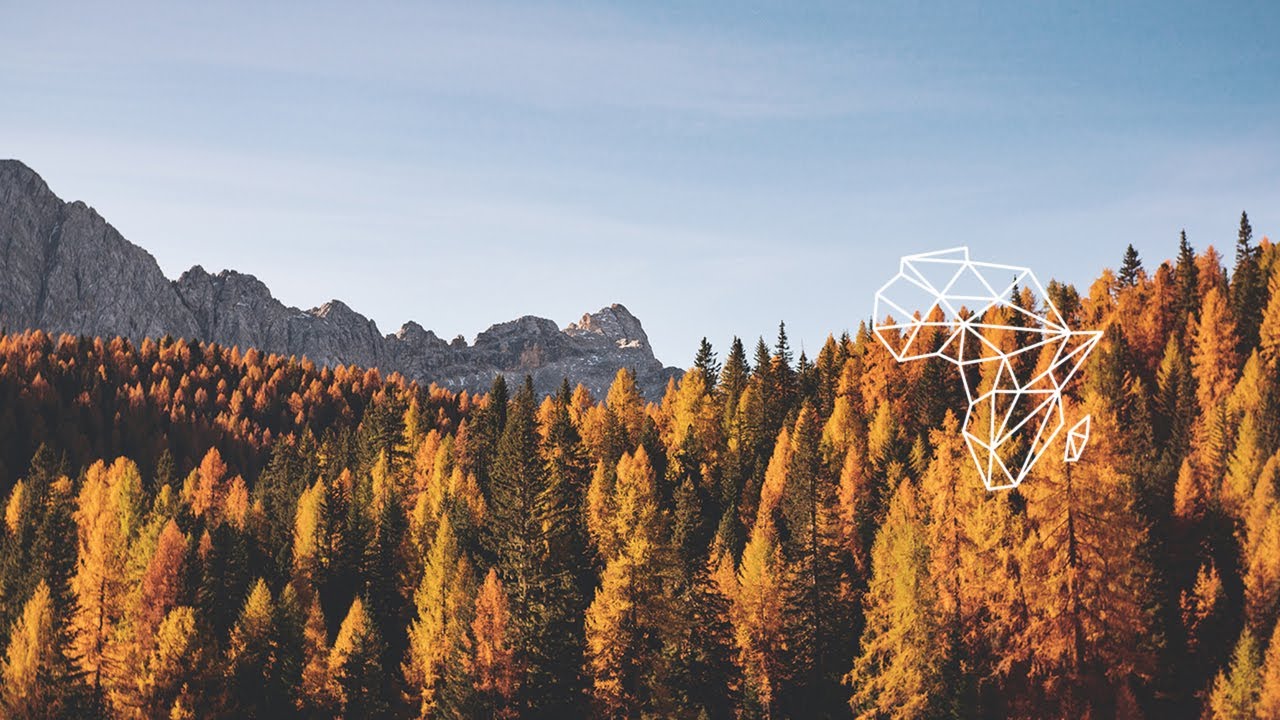 Bantwanas - Gus and Lib (Original Mix) [Afro House / Bantwanas Kollektiv]