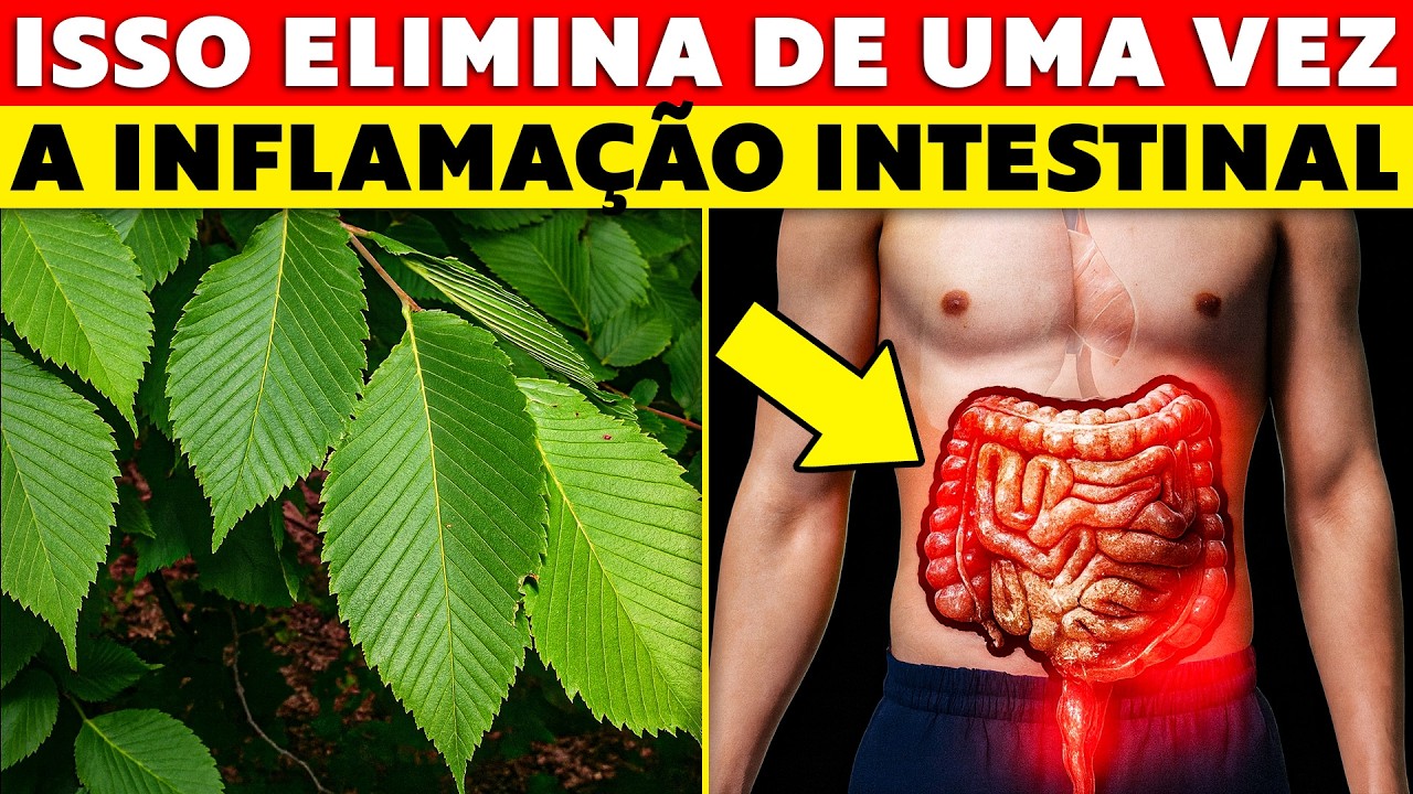 Este é o MELHOR Remédio PODEROSO para Desinflamar o Seu Intestino de ...