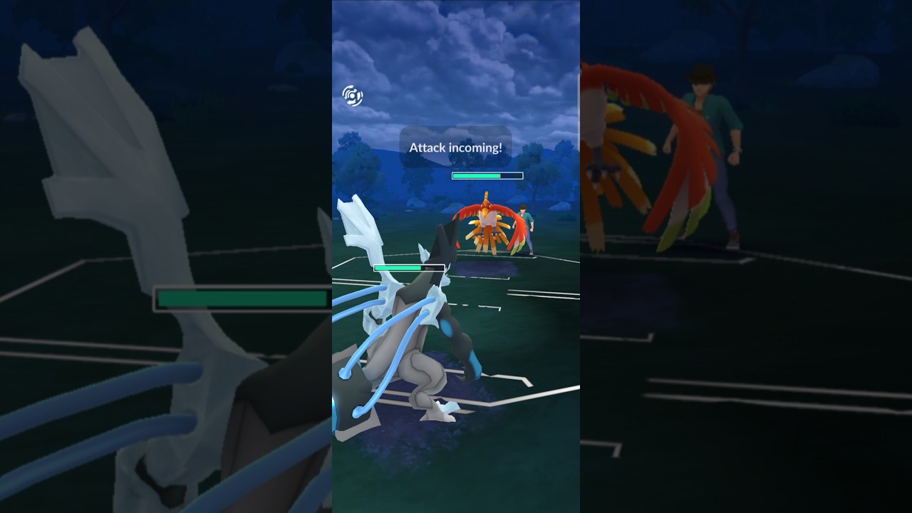 Black Kyuram❄️ & Zekrom⚡️are great combination🌟 | GBL | Pokémon Go