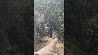 Gaon 🏘️ me khetti 🚜🤔 #vlog #minivlog #village #farmer #mrxeric