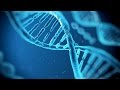 A History of Research on Genetics