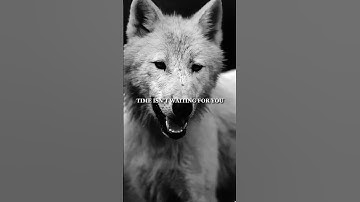 Stop Waiting For The Right TIME! - Motivational video #shorts #motivation #success