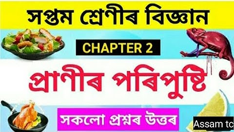 Class 7  Science Question Answer // প্ৰাণীৰ পৰিপুষ্টি  // Chapter 2
