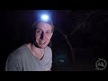 Night Creatures! TheConservationFiles - Ep. 5 : AnimalBytesTV