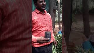 Aringar Anna Horticulture