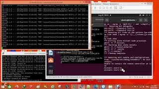 SDN RYU Mininet Link failure detection and update upon Link delete. method is del flow entries عربي