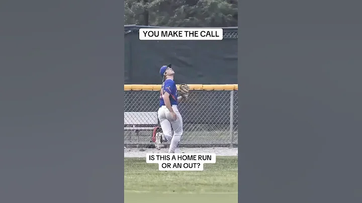 Robbed home run? 🤯 #baseball