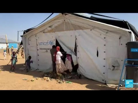 More than 10 million displaced by Sudan conflict, says Unicef • FRANCE 24 English - More than 10 million displaced by Sudan conflict, says Unicef • FRANCE 24 English