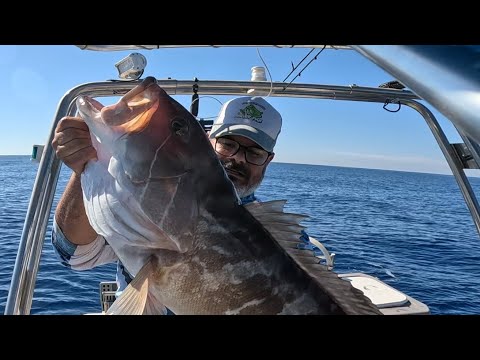 🔥 SOLO Ψάρεμα ! Σφυρίδα, Στείρα & Σφυριδάκλα 10kg+  με M2K FISHING PRO 🎣🐟 