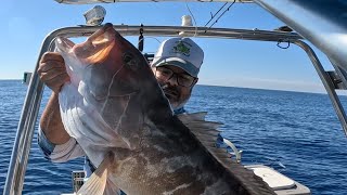 🔥 SOLO Ψάρεμα ! Σφυρίδα, Στείρα & Σφυριδάκλα 10kg+ με M2K FISHING PRO 🎣🐟