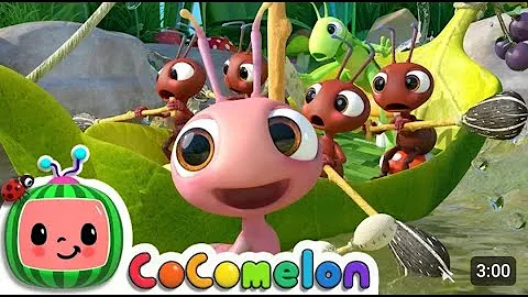 Row, Row, Row Your Boat (Ant Version) | CoComelon Nursery Rhymes & Kids