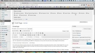 How to Remove the WordPress Comments Box on Pages