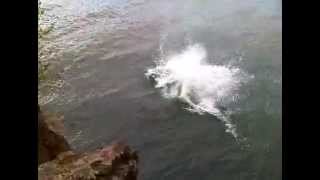 Epic Gainer Fail