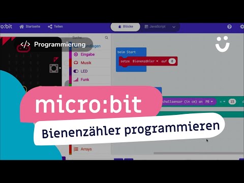 Programmierung Bienenzähler mit micro bit