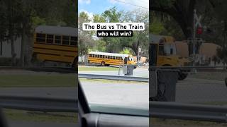 The Bus Vs The Train