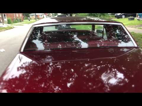 Letting candy drip and the motor talk