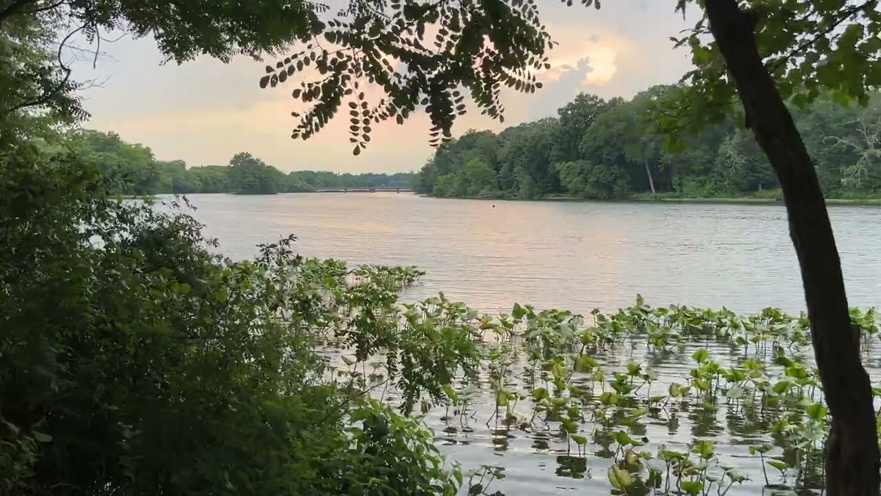 Carnegie Lake, Princeton, NJ (20 min) 
