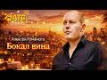 Алексей Романюта Бокал вина Премьера 2026 Музыка твоей души