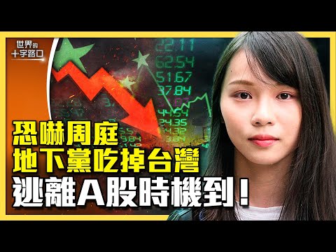 中国股市暴跌反弹，股民快逃生？终生通缉周庭，港府盘算什么？中共地下党员遍布，准备吃掉台湾？（2024.2.7）｜世界的十字路口 唐浩