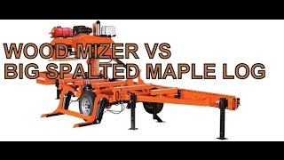 WOOD-MIZER LT35 VS BIG SPALTED MAPLE LOG