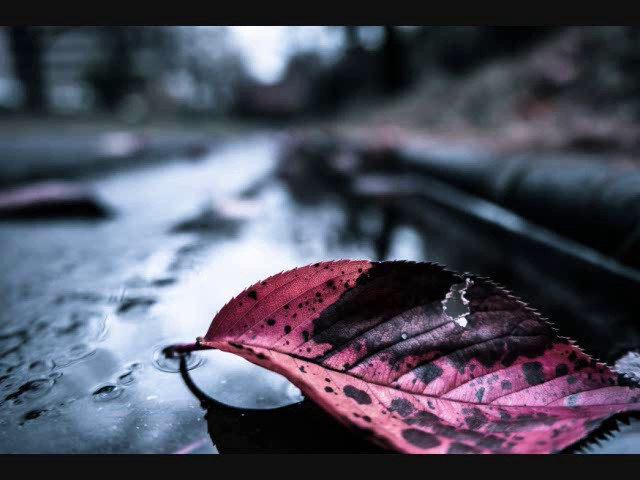 SCARE CROW - 立春 (FULL ALBUM) - YouTube