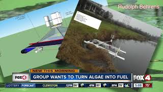 Group works to turn algae into fuel