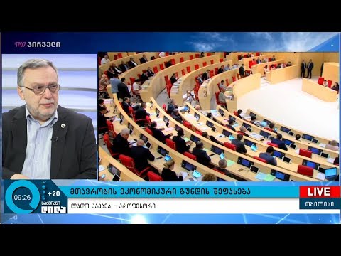 მთავრობის ეკონომიკური გუნდის შეფასება